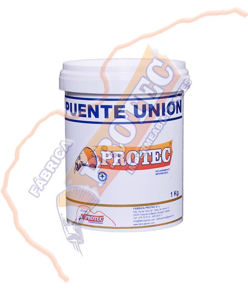 Puente Union 