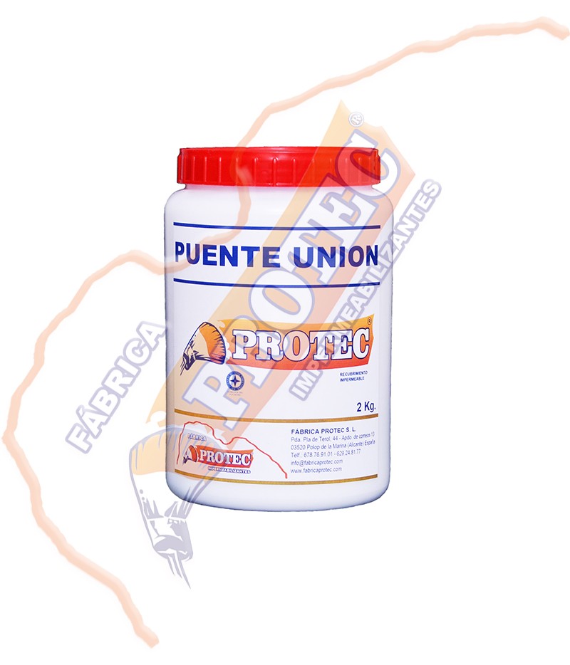 Puente Union 