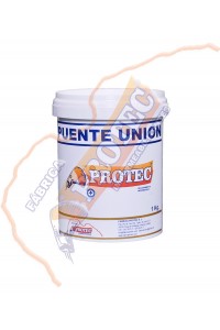 Puente Union 