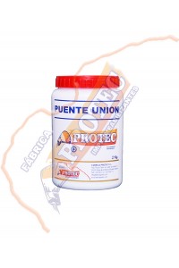 Puente Union 