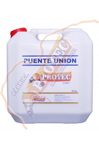 Puente Union 