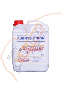 Puente Union 