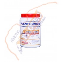 Puente Union 