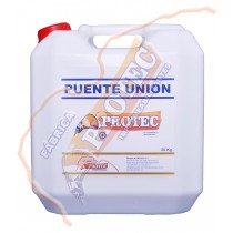 Puente Union 