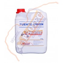 Puente Union 