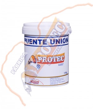 Puente Union 