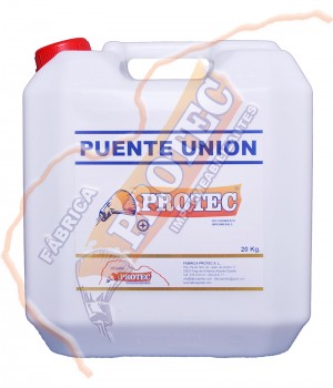 Puente Union 