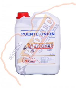 Puente Union 